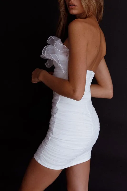 Best seller! Ruffle Mesh Sleeveless Mini Dress