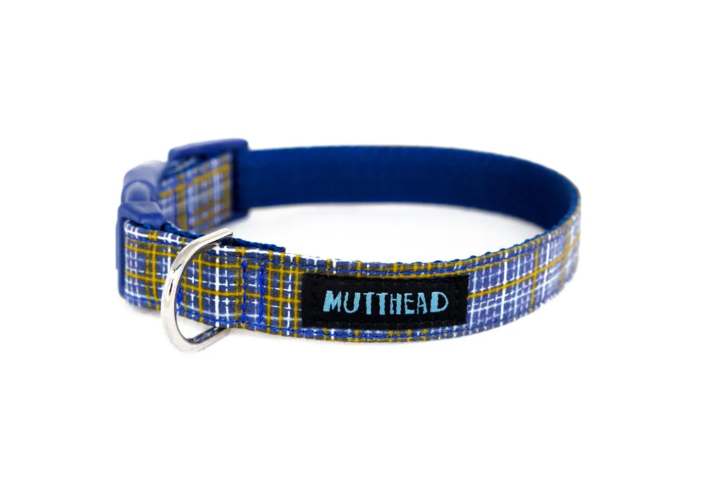 Buckle Dog Collar in Howard