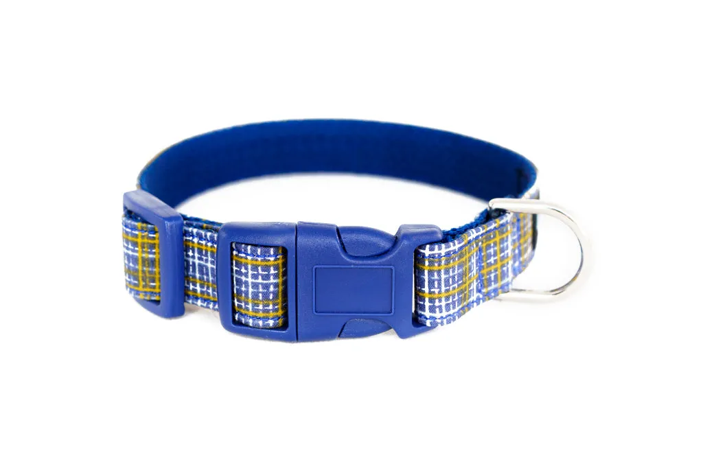Buckle Dog Collar in Howard