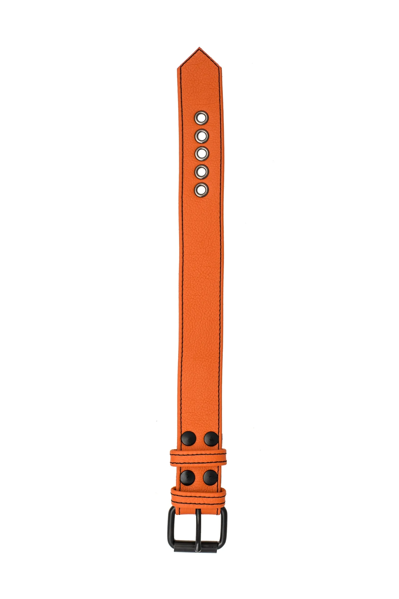 CLASSIC ARMBELT - Colour