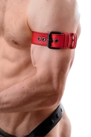 CLASSIC ARMBELT - Colour
