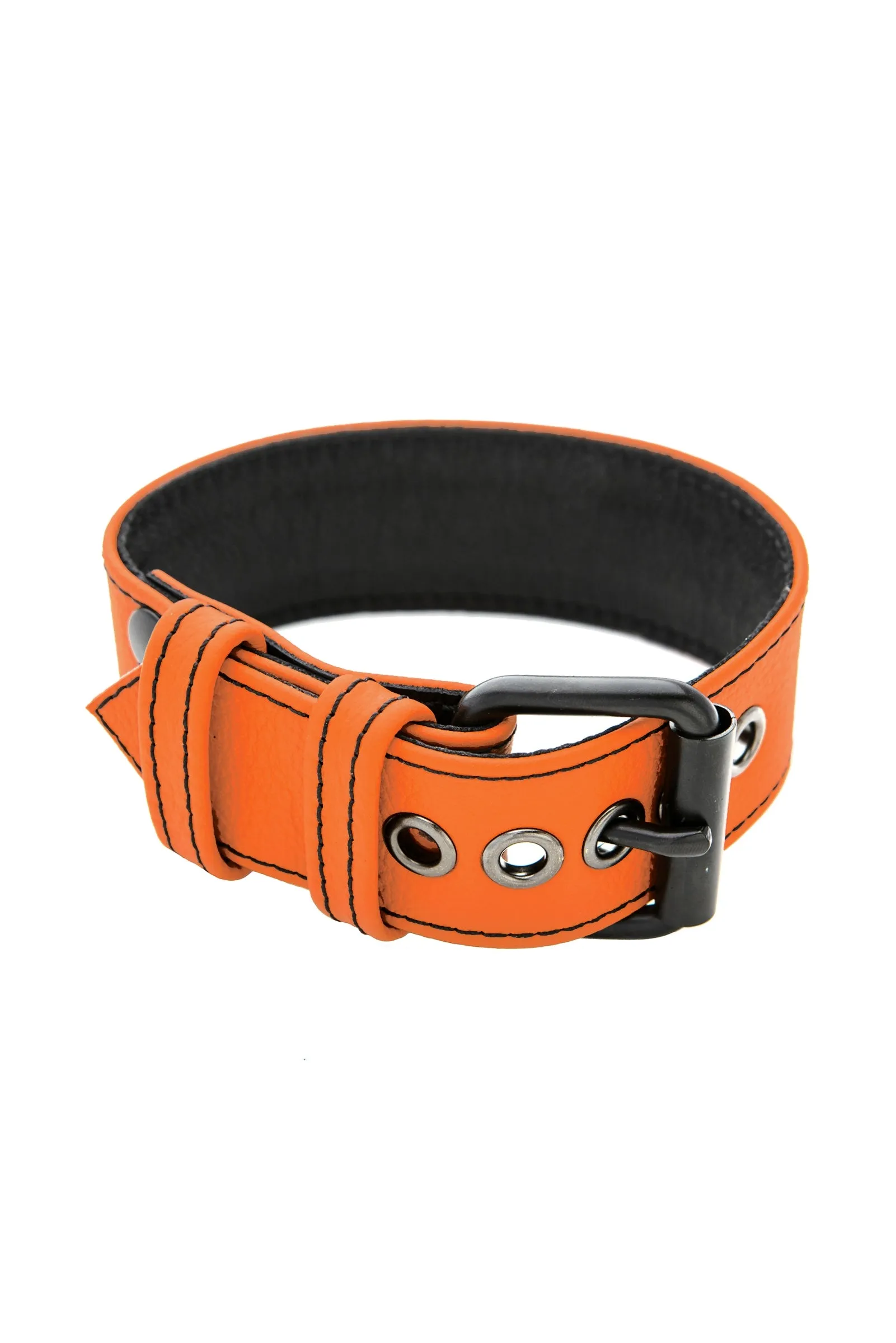 CLASSIC ARMBELT - Colour