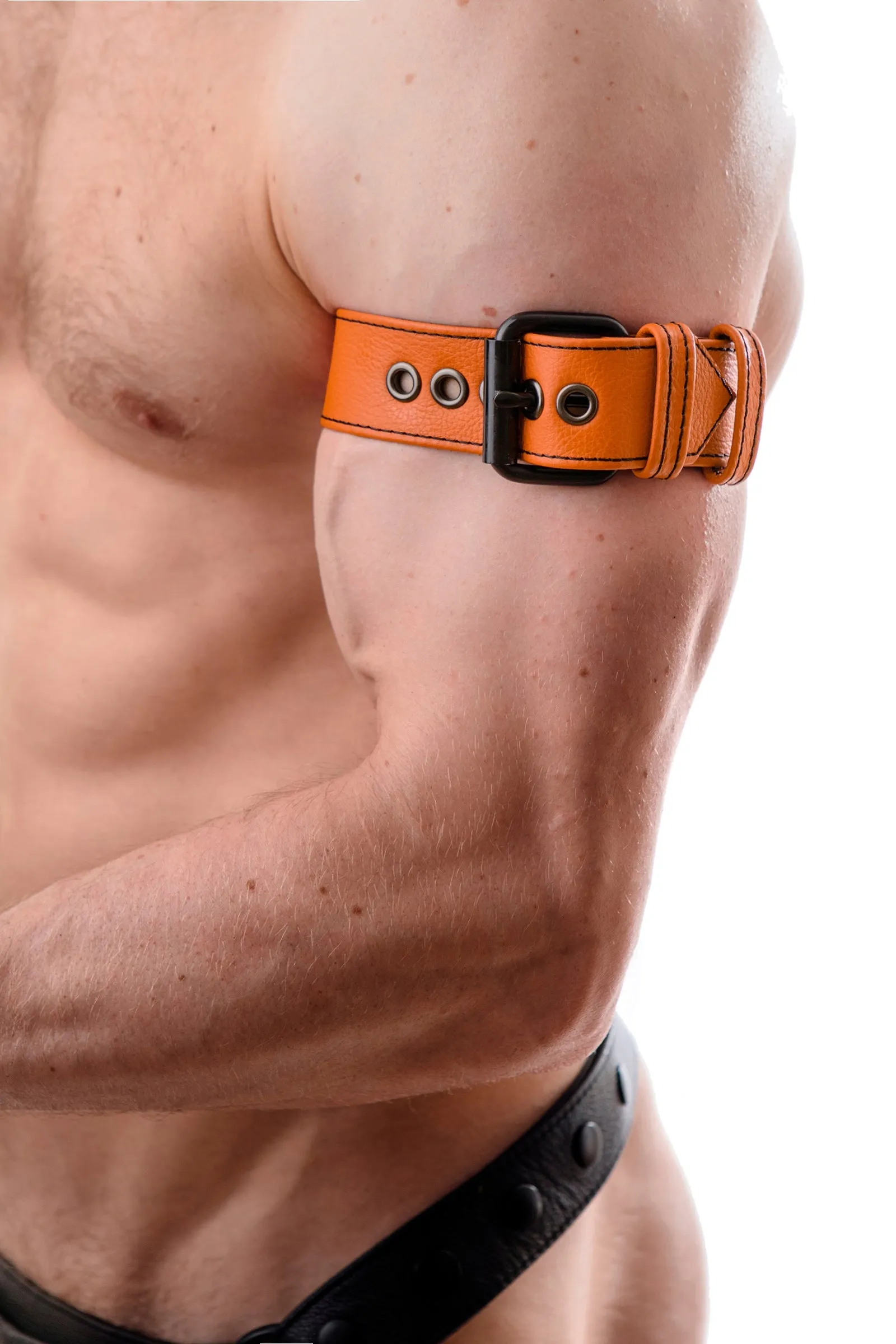 CLASSIC ARMBELT - Colour