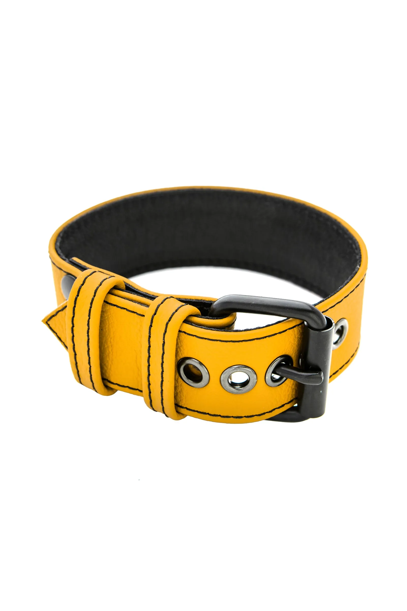 CLASSIC ARMBELT - Colour