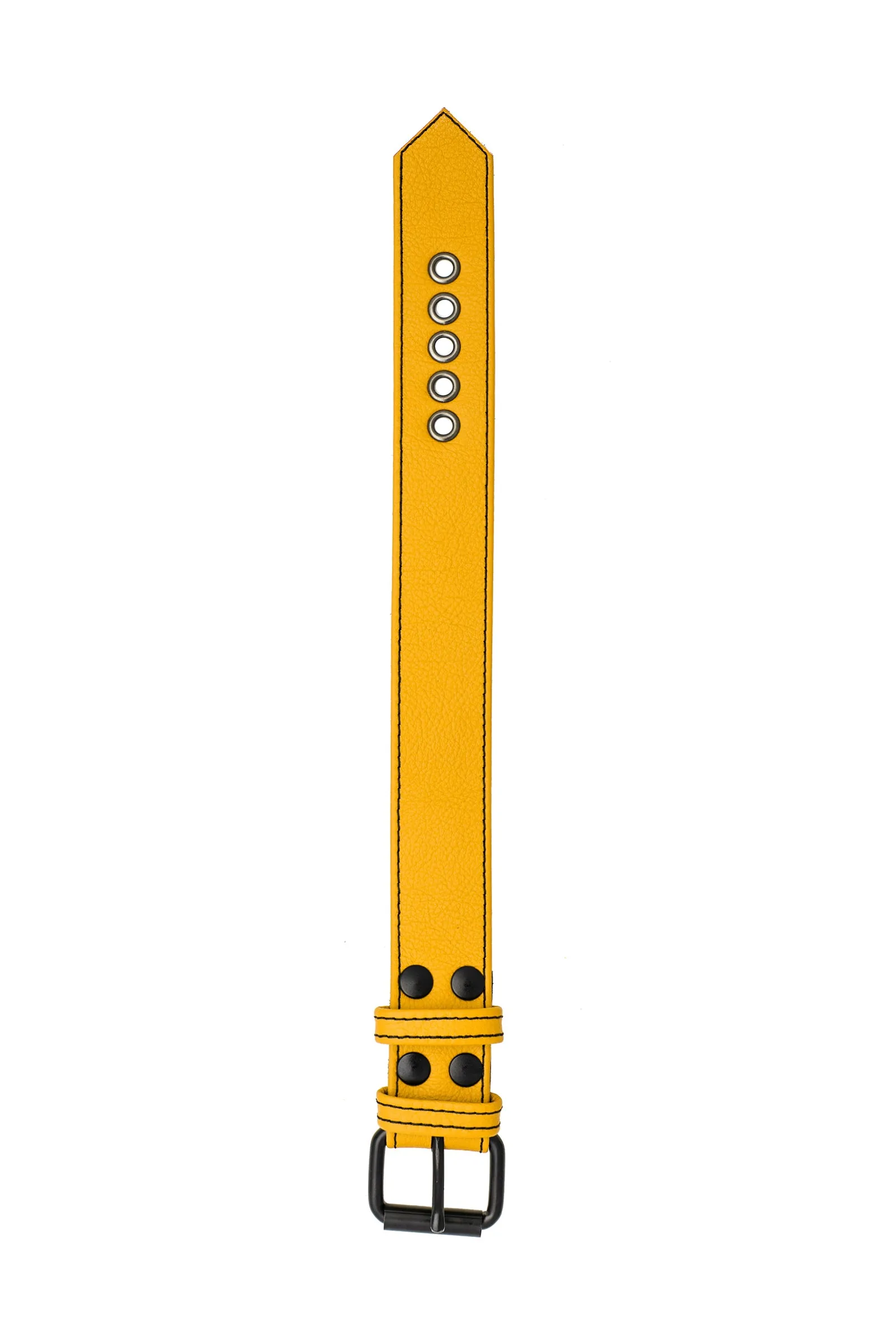 CLASSIC ARMBELT - Colour