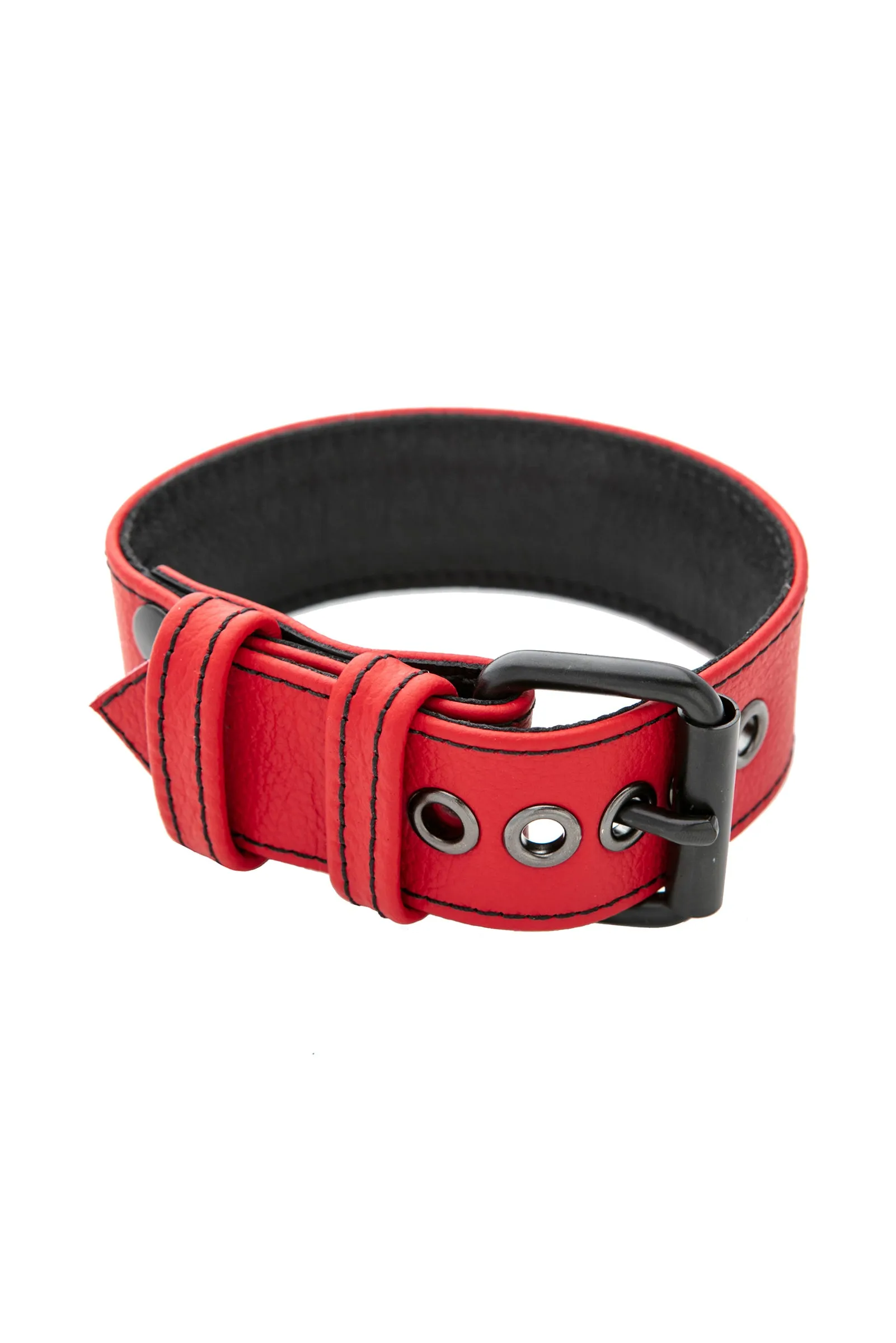 CLASSIC ARMBELT - Colour