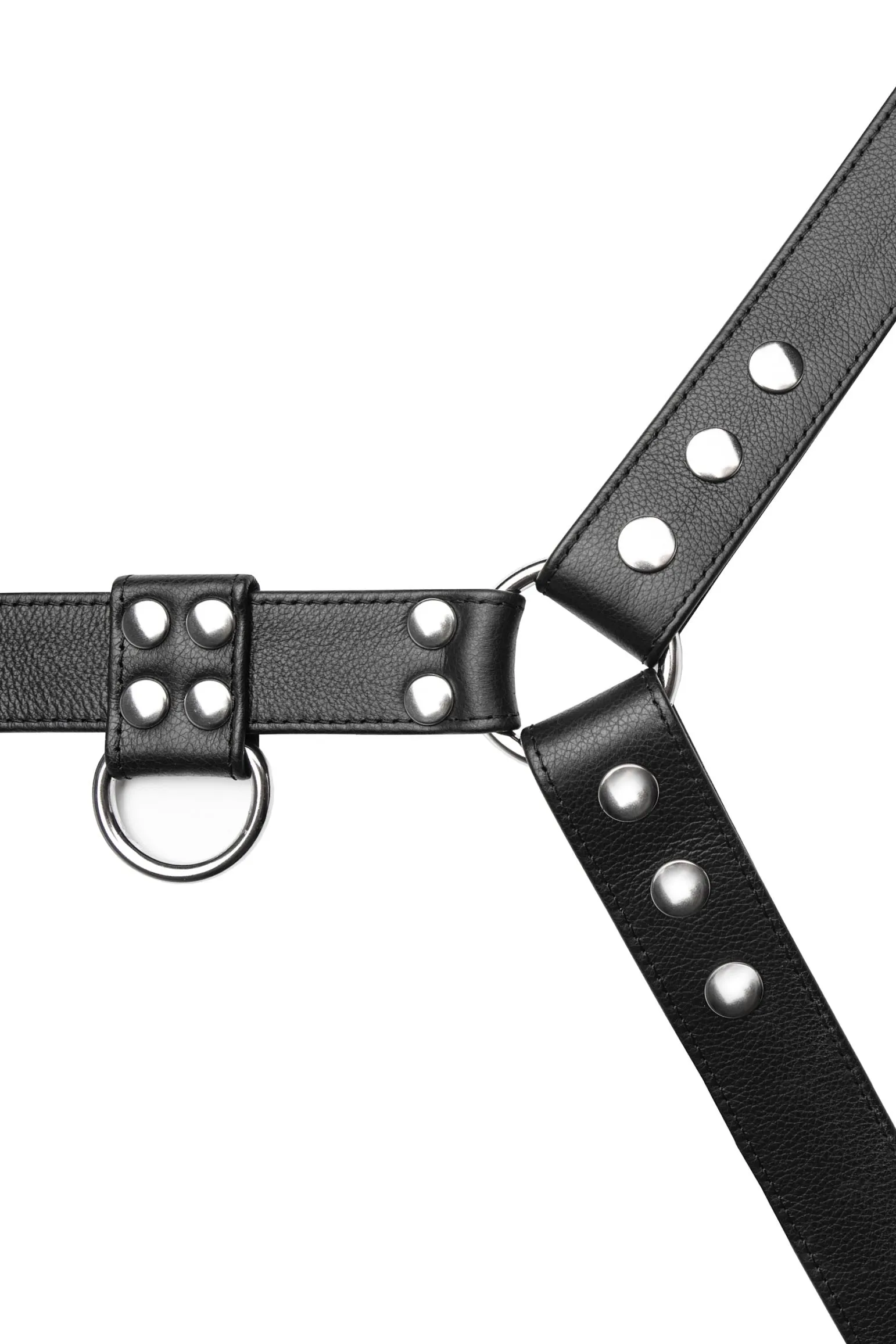 CLASSIC BULLDOG - Stainless Steel