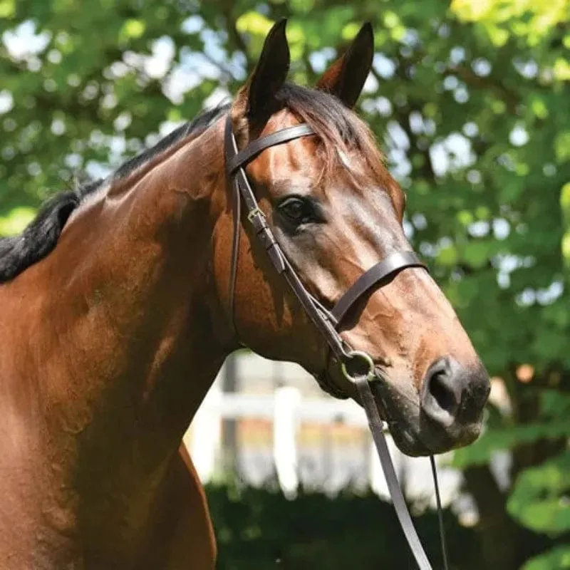 Grainge Elite Show Snaffle (GRES512)