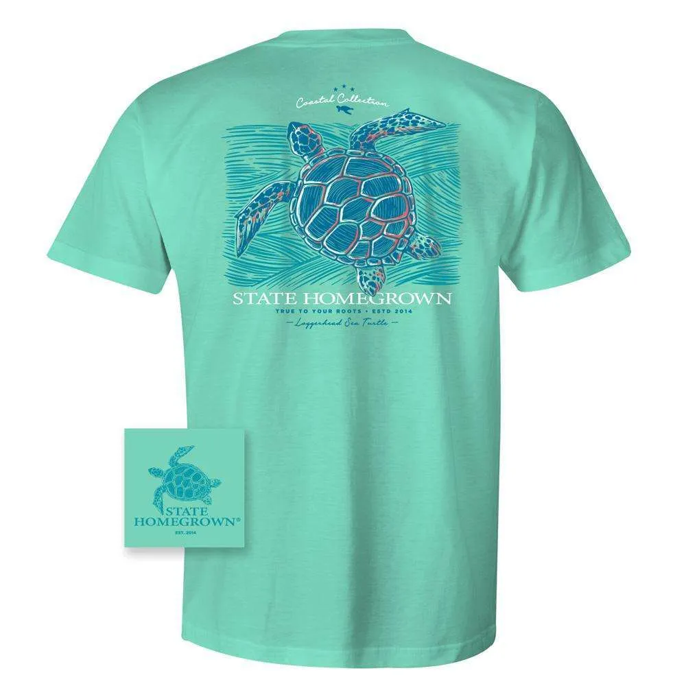 Loggerhead Sea Turtle