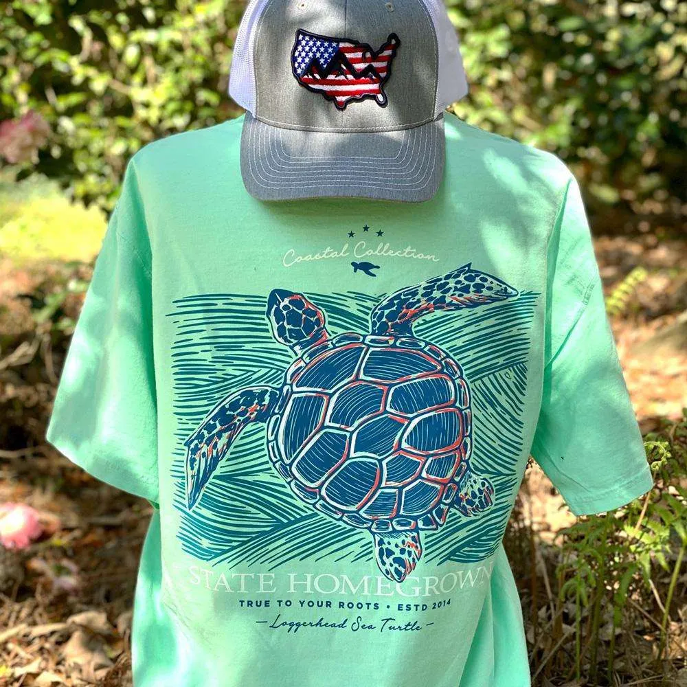 Loggerhead Sea Turtle