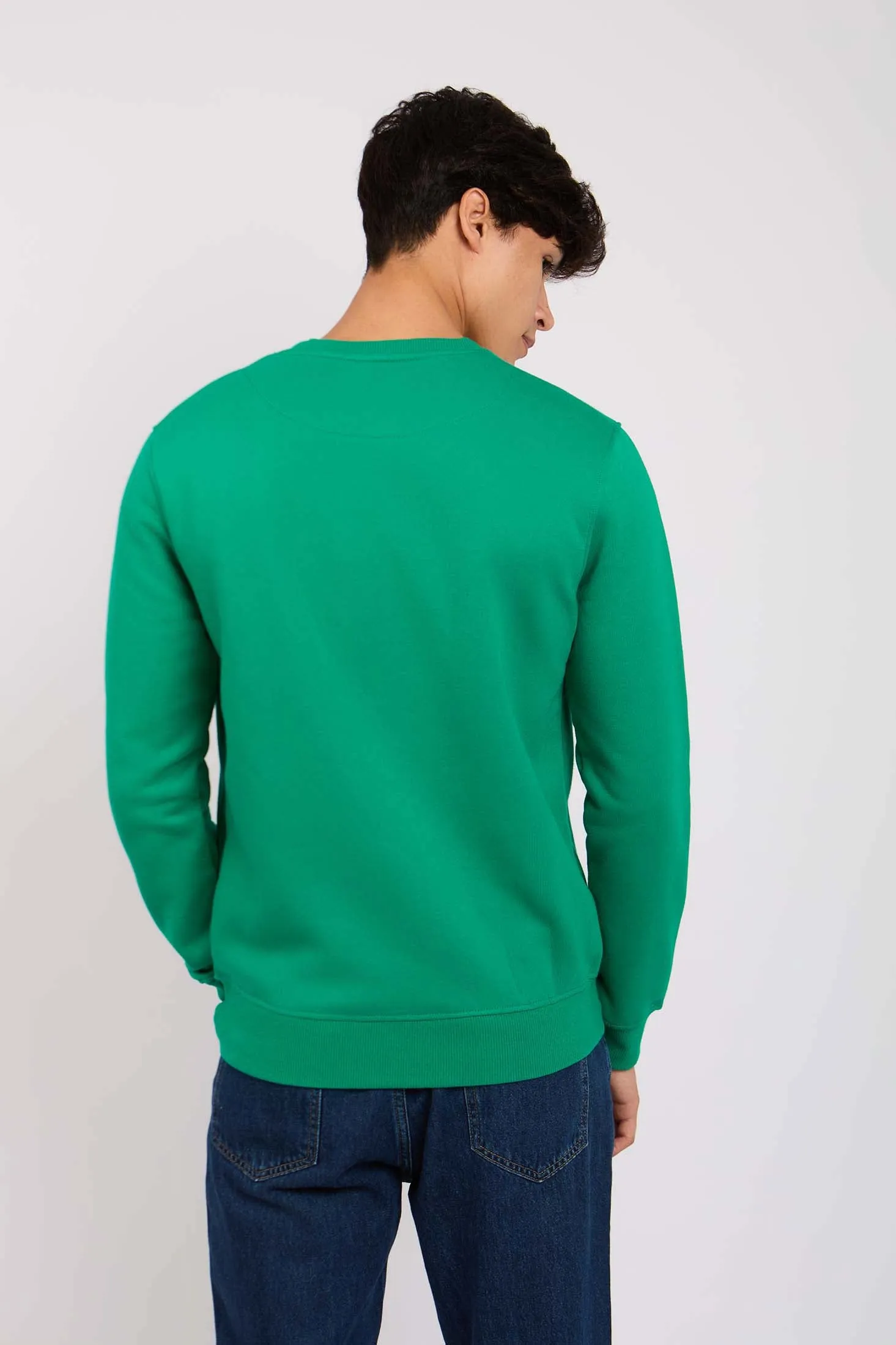 Men Regular Fit Front Printed Sweat Shirt Green