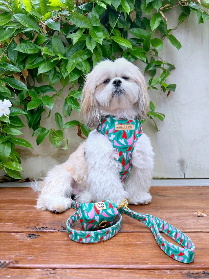 MOLLY & CO. - Adjustable Harness-Amore