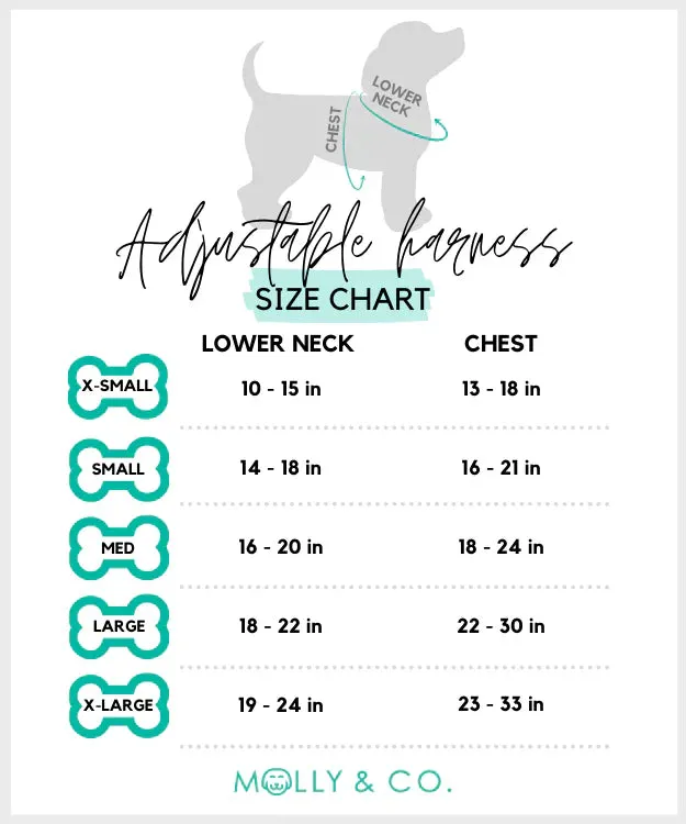 MOLLY & CO. - Adjustable Harness-Amore