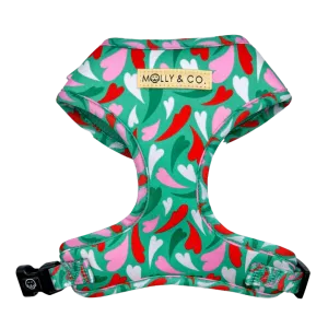 MOLLY & CO. - Adjustable Harness-Amore