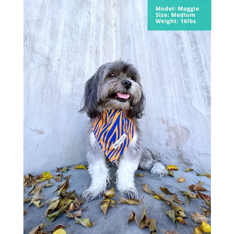 MOLLY & CO. - Dog Bandana- Tiger