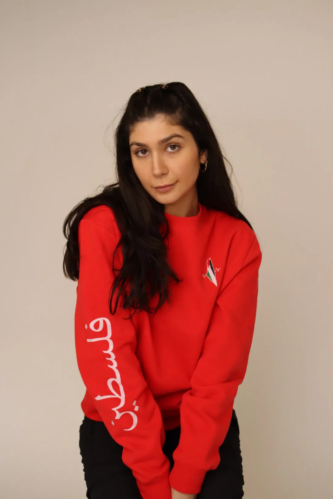 PALESTINE CREWNECK- LIMITED EDITION