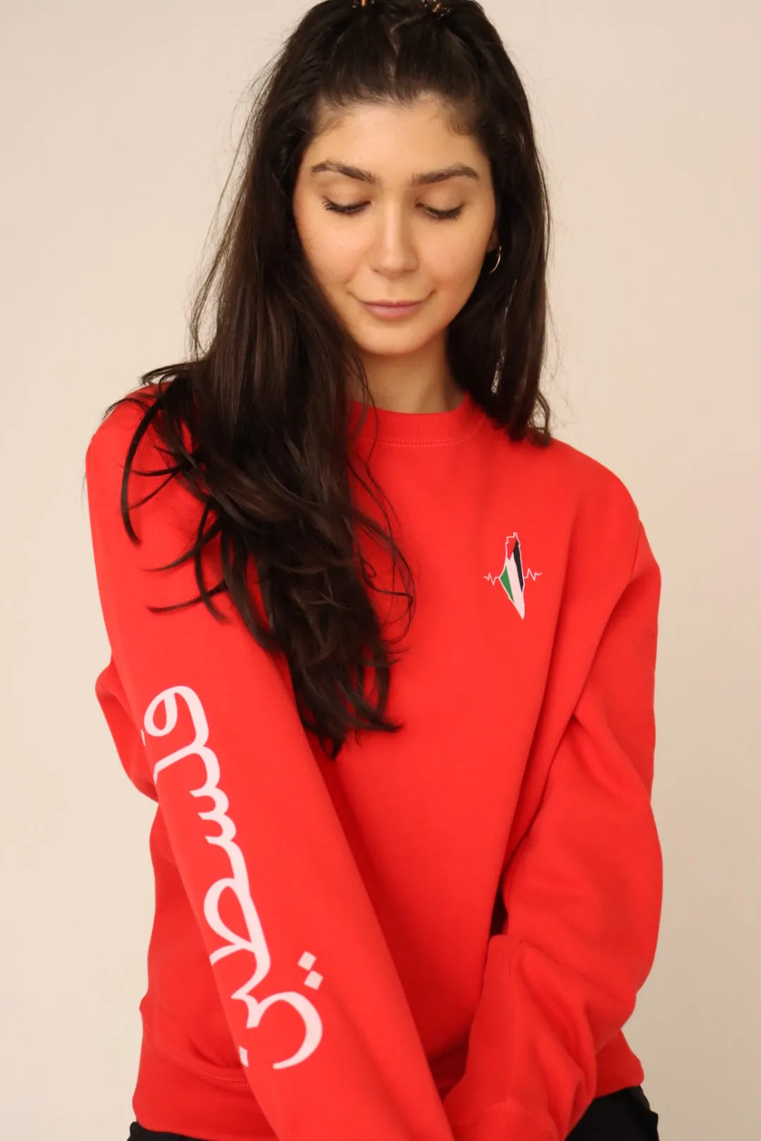 PALESTINE CREWNECK- LIMITED EDITION