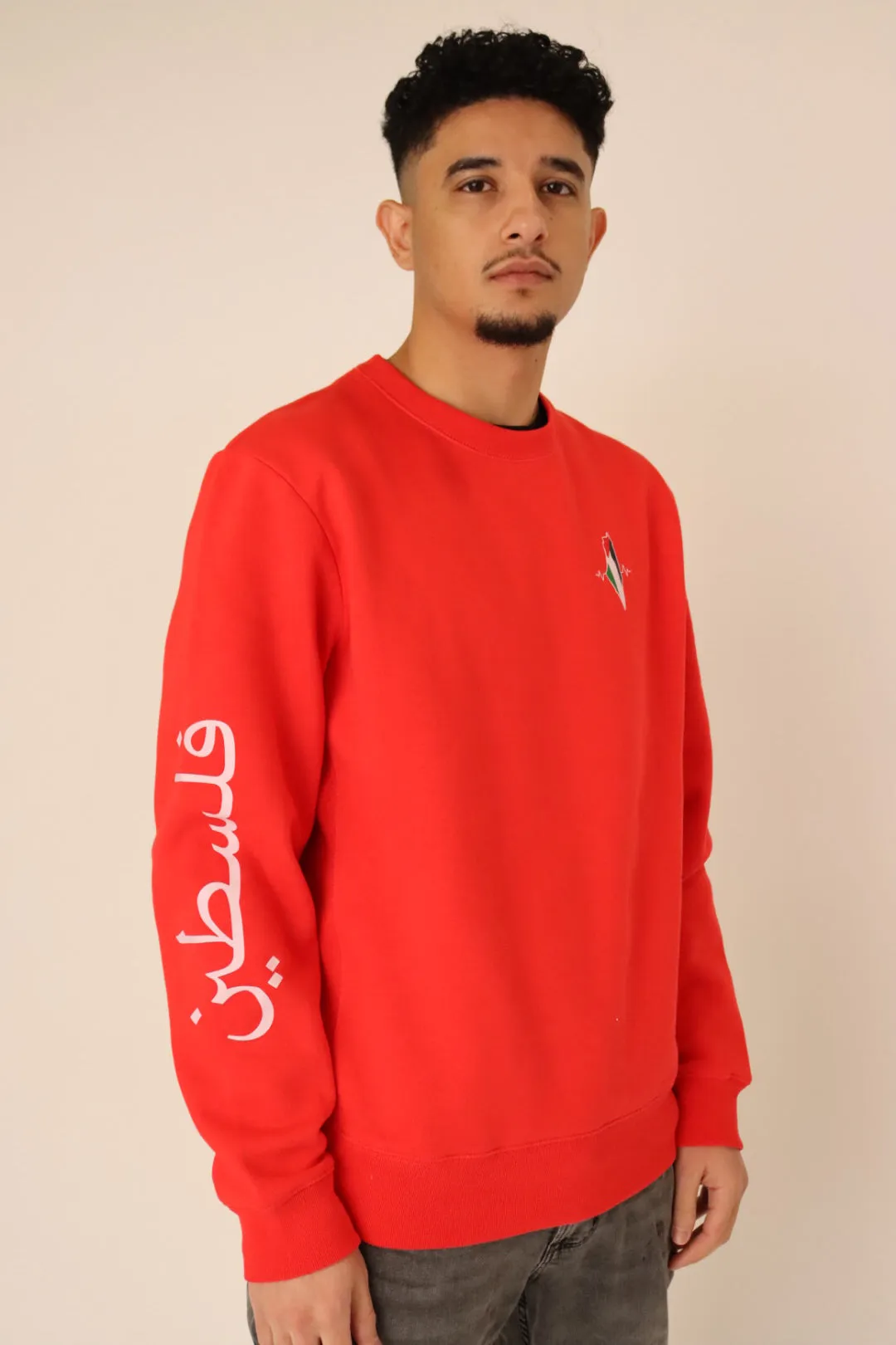 PALESTINE CREWNECK- LIMITED EDITION