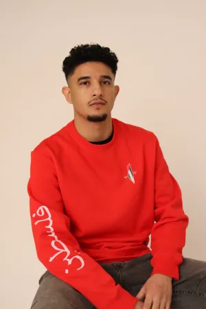 PALESTINE CREWNECK- LIMITED EDITION