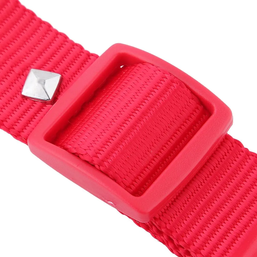 Posh Tail Deep Red Nylon Dog Collar