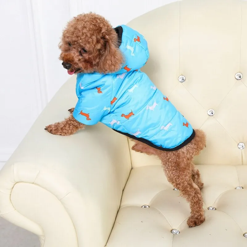 Printed Coat with a Hoodie for Pets