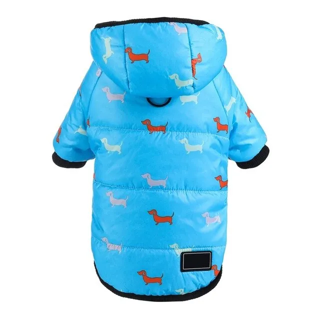 Printed Coat with a Hoodie for Pets