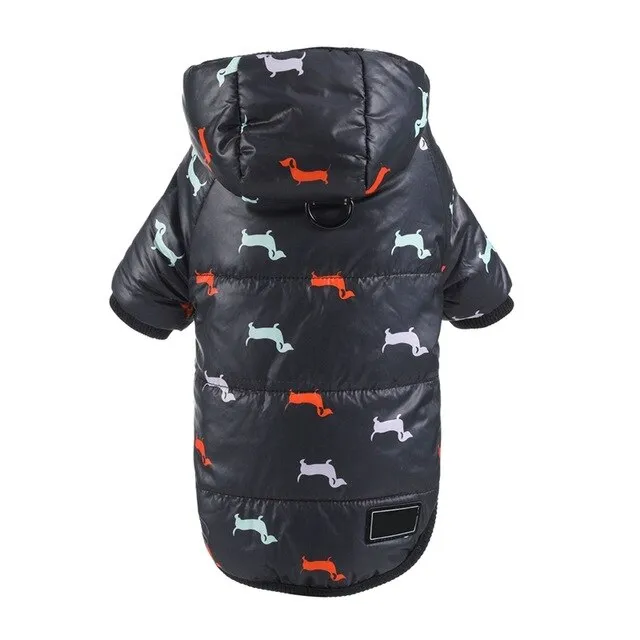 Printed Coat with a Hoodie for Pets