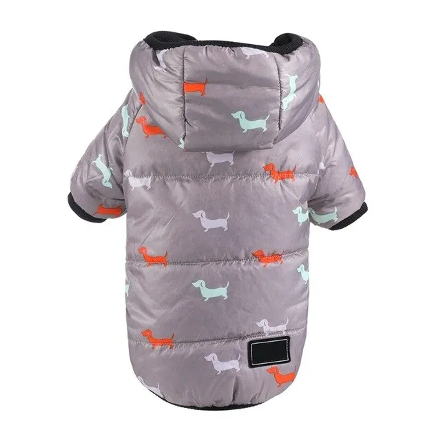 Printed Coat with a Hoodie for Pets
