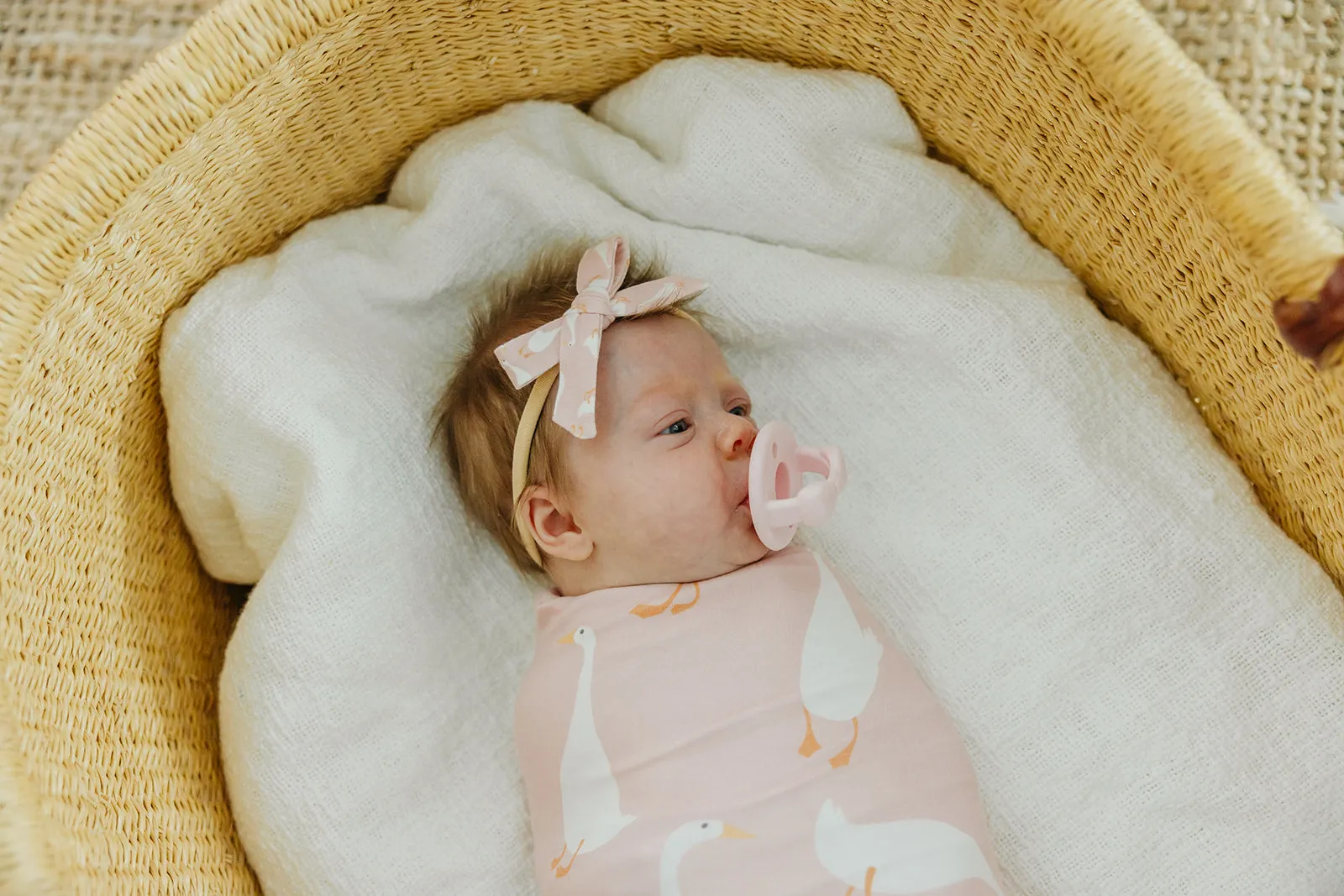 Ribbon Nylon Bow - Goosie