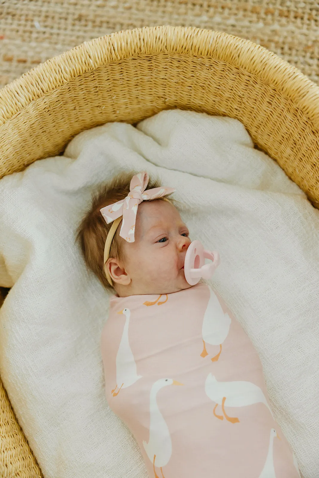 Ribbon Nylon Bow - Goosie