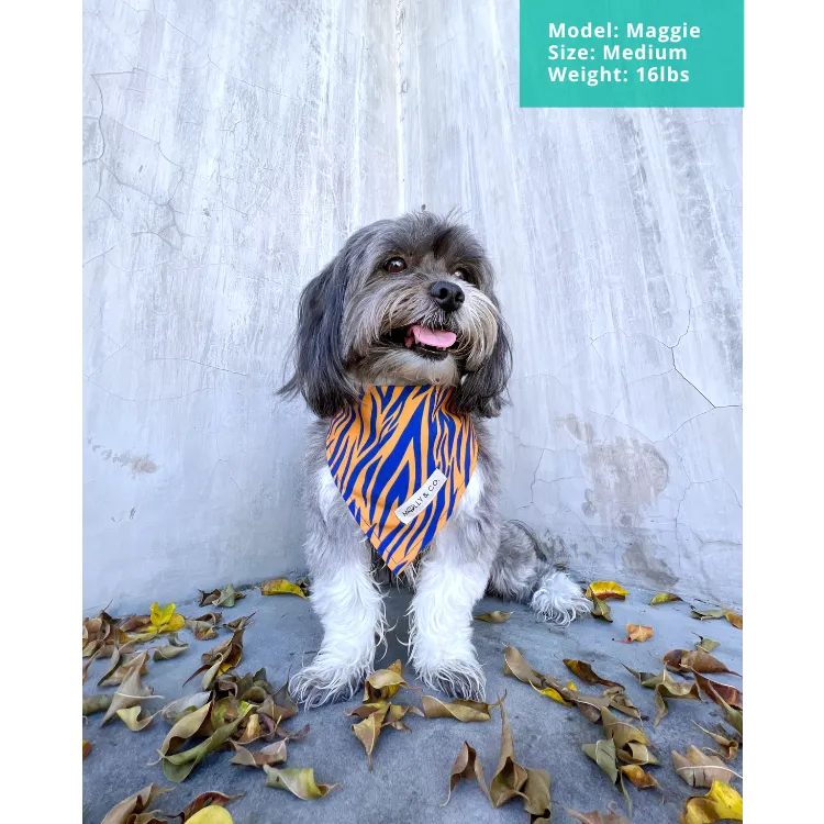 Tiger - Dog Bandana - FINAL SALE