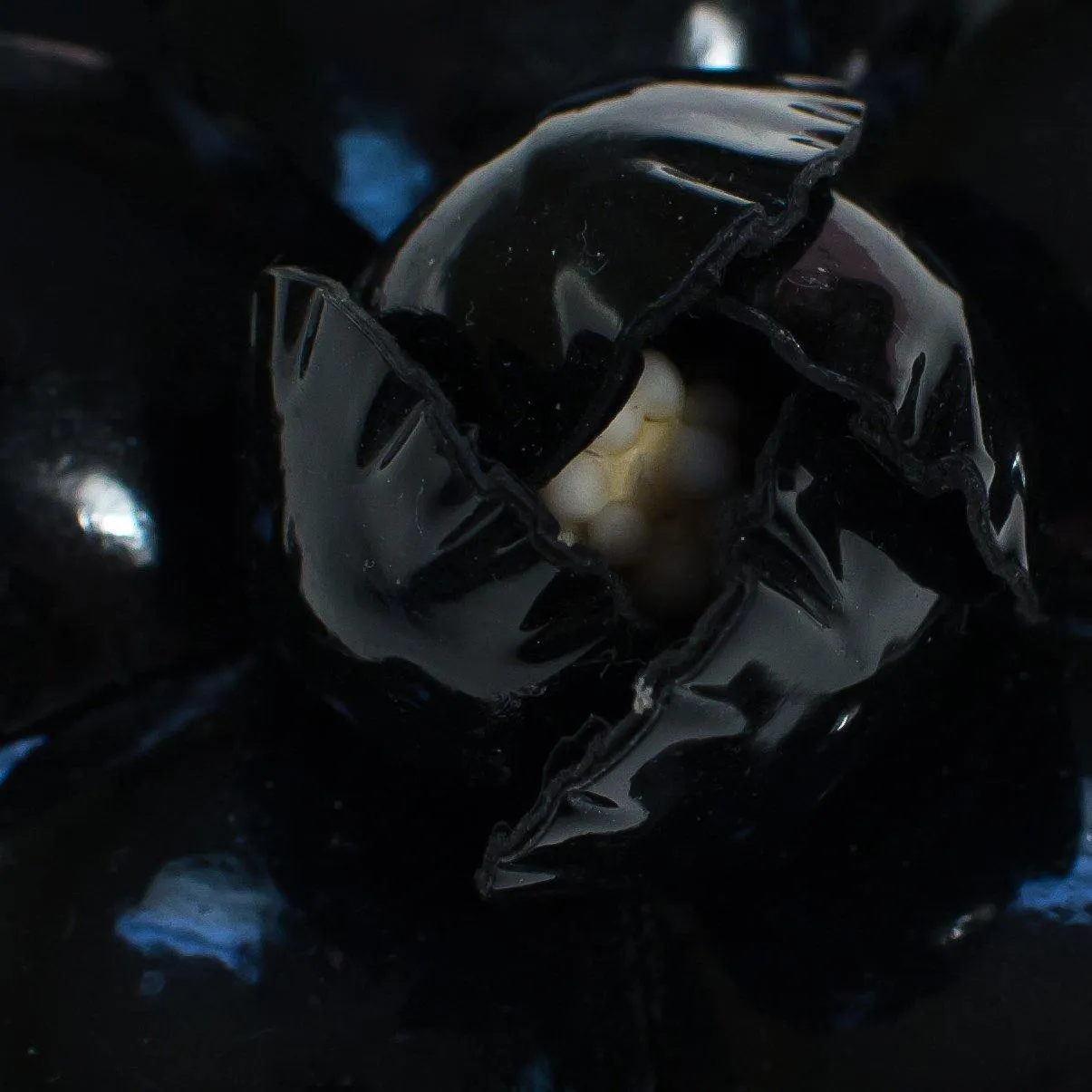 Vintage Black Leather Camellia Flower Pin