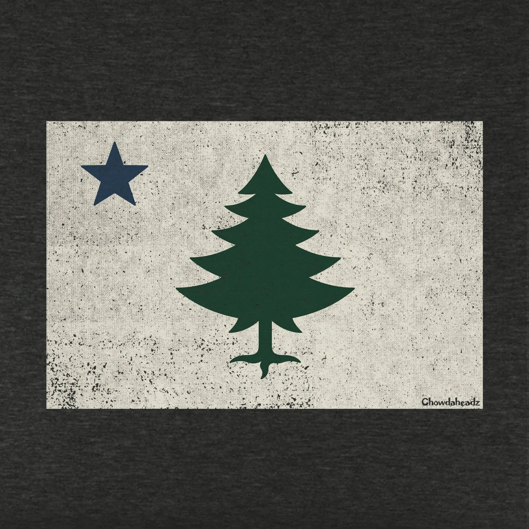 Vintage Maine Flag Youth T-shirt