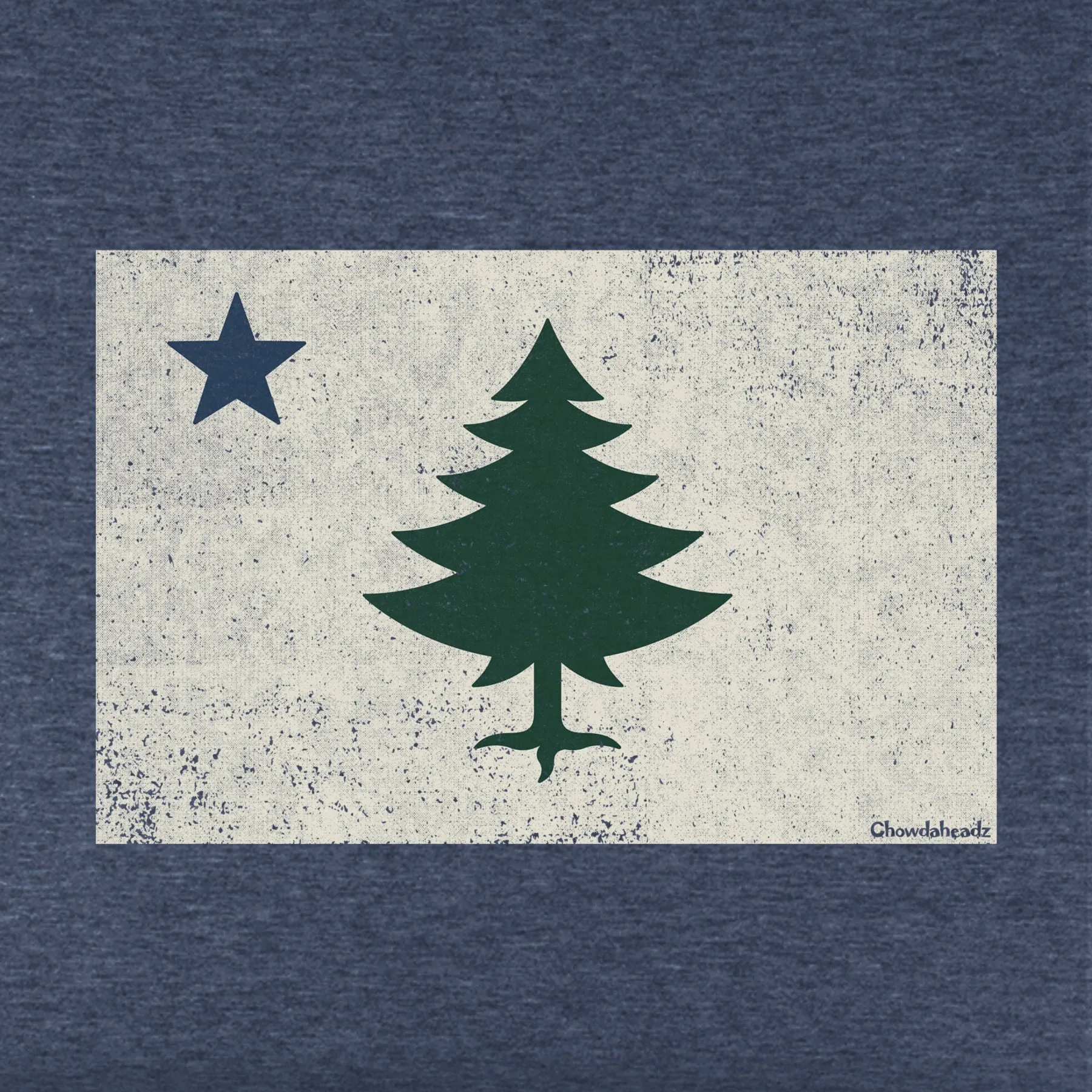 Vintage Maine Flag Youth T-shirt