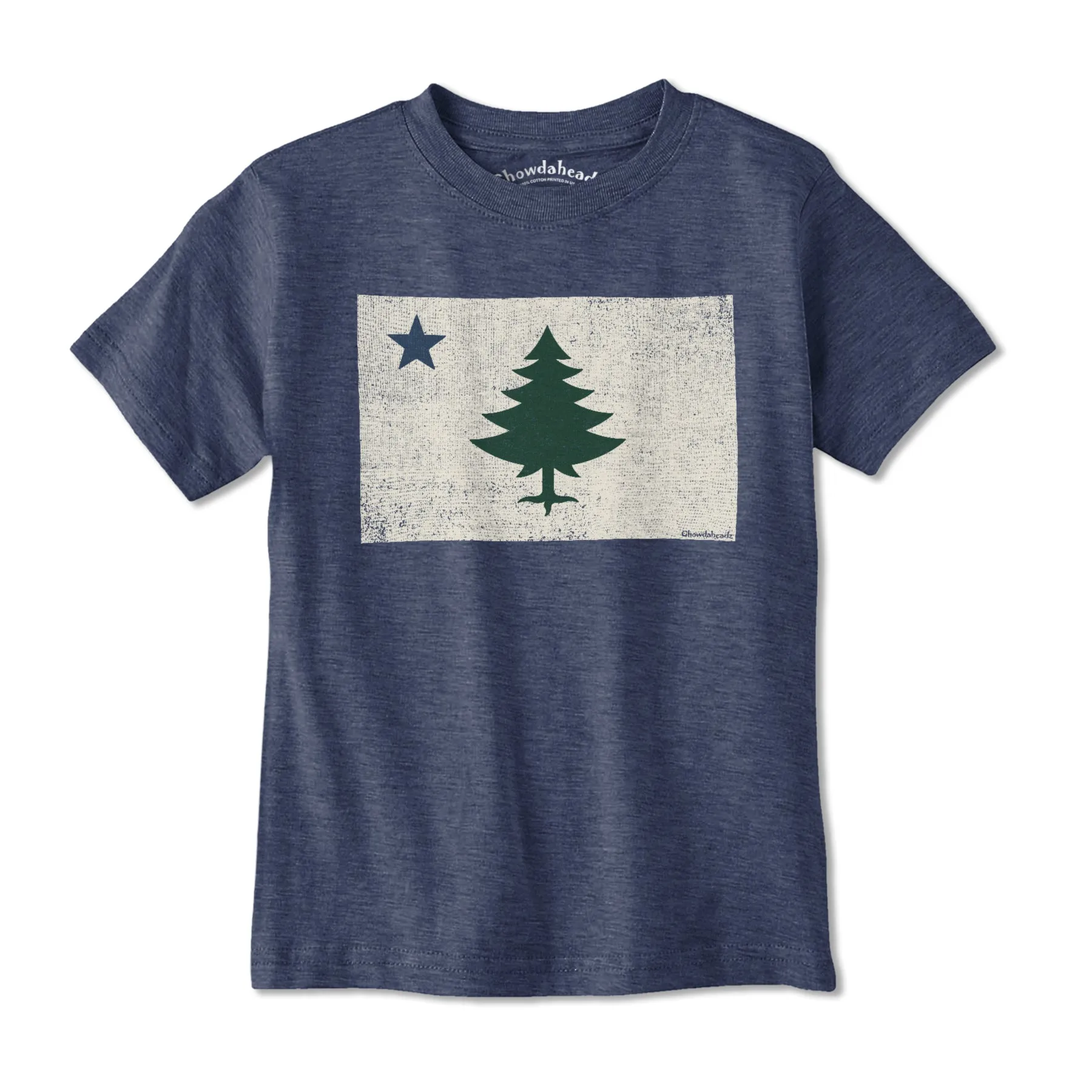 Vintage Maine Flag Youth T-shirt