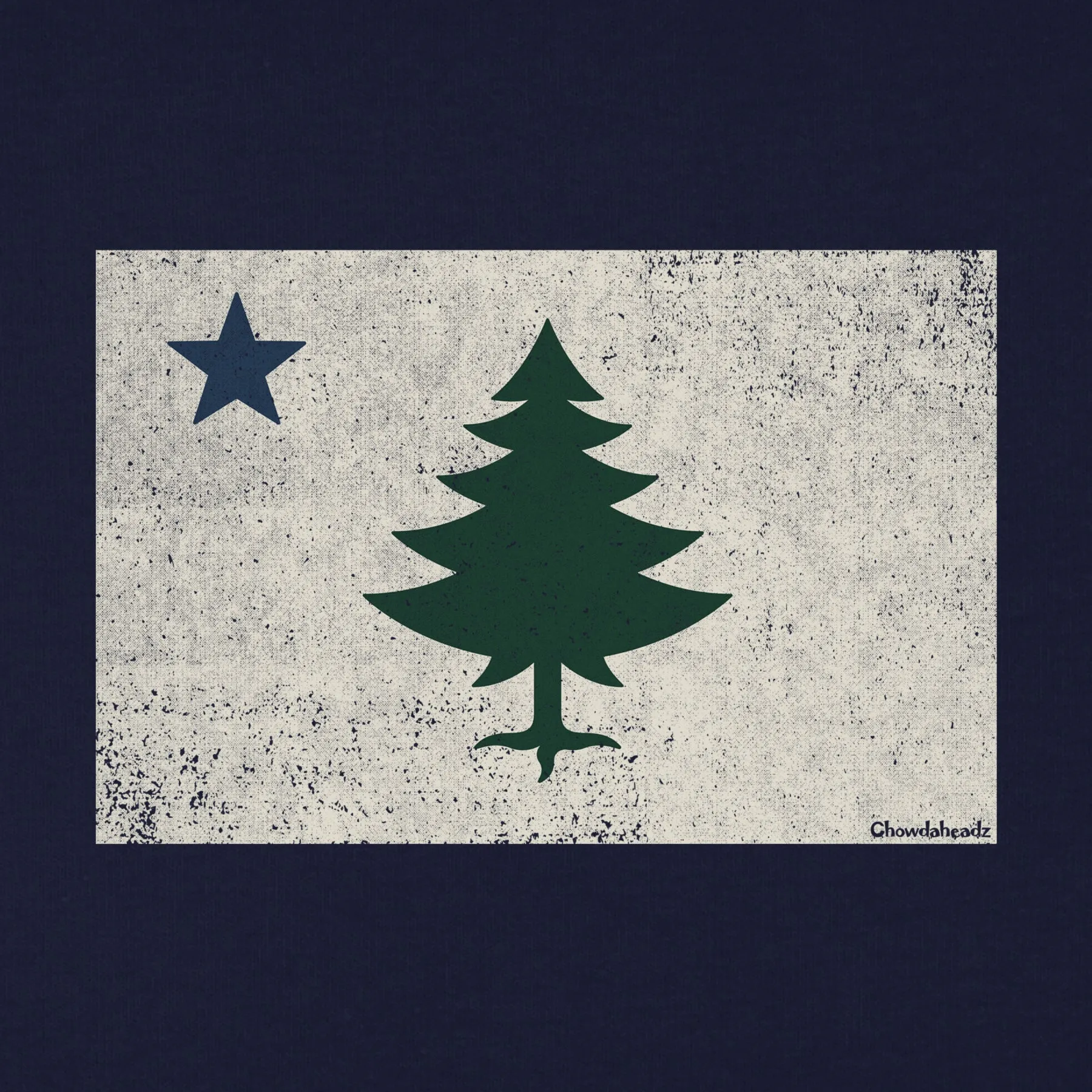 Vintage Maine Flag Youth T-shirt