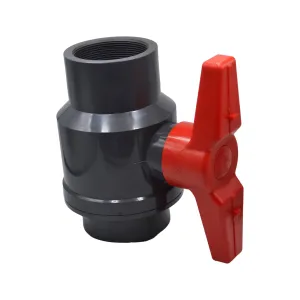 x1 PVC Pipe Female/Female 2 1/2" BSP Thread Ball Valve